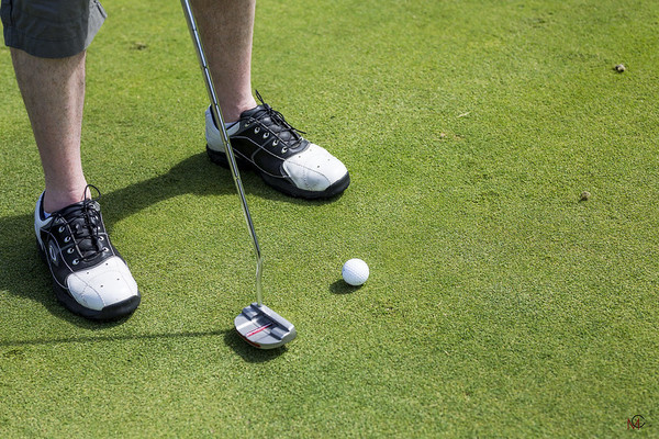 Spiked vs Spikeless Golf Shoes